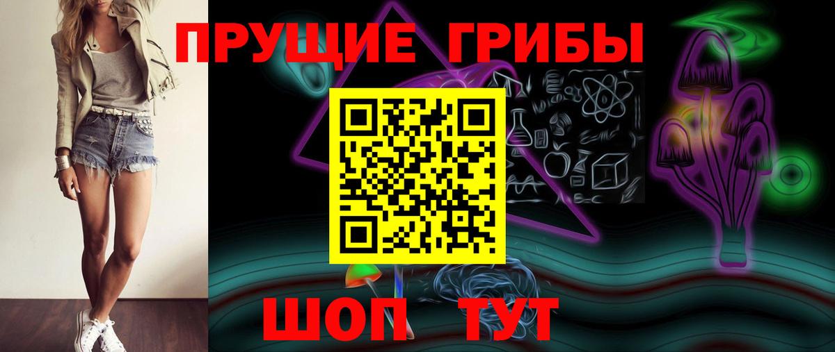 Псилоцибиновые грибы Cubensis  Вход с VPN  Дзержинск 
